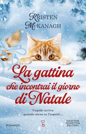 LA GATTINA CHE INCONTRAI IL GIORNO DI NA